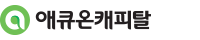 애큐온캐피탈
